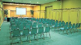 Llaima Hall - Gran Hotel Puc�n
