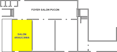 Plano do Sal&atilde;o Araucan&iacute;a