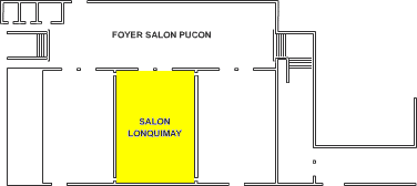 Plano do Sal&atilde;o Lonquimay