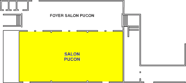 Plano do Sal&atilde;o Puc&oacute;n