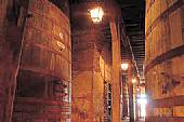Ruta del Vino