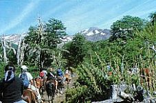 Cabalgatas - Termas de Chill�n