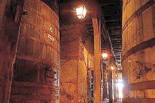 Ruta del Vino