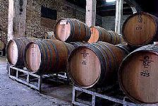 Ruta del Vino