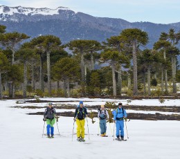 Escuela de Nieve