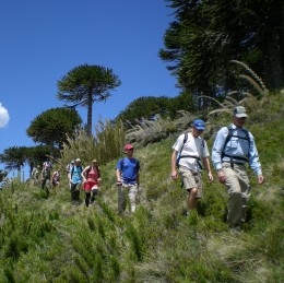 Activities in Corralco Ski Resort 