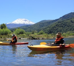 Servicios y Actividades