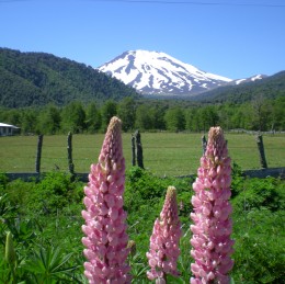 Activities in Corralco Ski Resort 